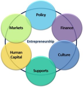 Domains of the Entrepreneurship Ecosystem